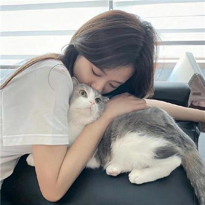 新媳妇来了